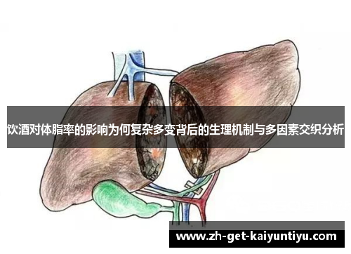 饮酒对体脂率的影响为何复杂多变背后的生理机制与多因素交织分析 饮酒对体脂率的影响为何复杂多变背后的生理机制与多因素交织分析