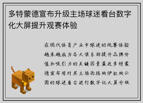 多特蒙德宣布升级主场球迷看台数字化大屏提升观赛体验